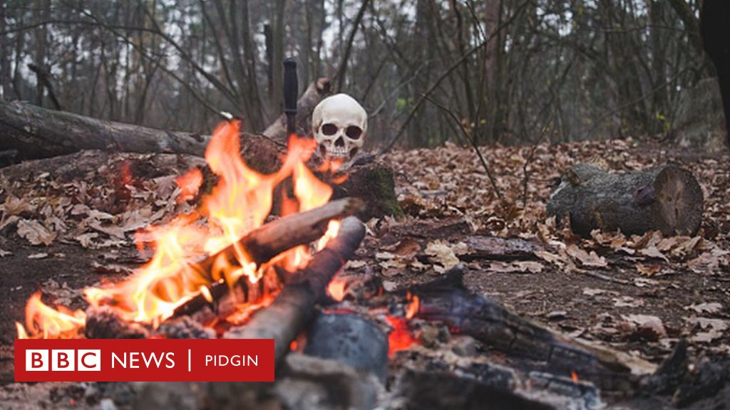 Ogun state ritual killing: Experts chook mouth for wetin fit make youths dey engage in 'money ritual'