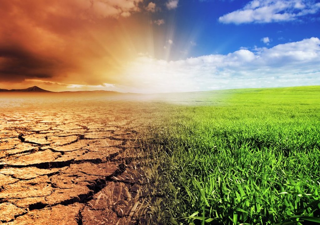 Climate Change: FG to unveil carbon tax system for Nigeria