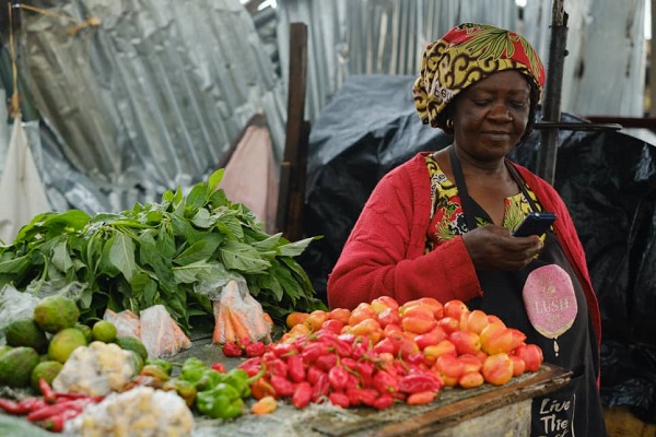 Kaduna financial inclusion rises to 66% in major milestone, says commissioner