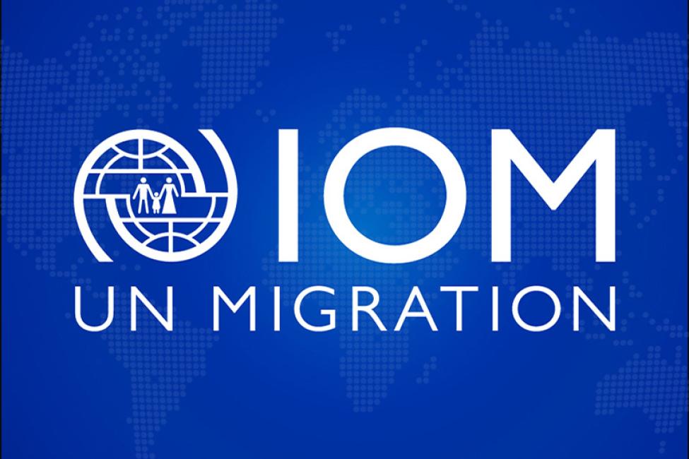 IOM seeks increased funding as Nigeria faces $274m humanitarian financing gap