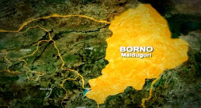 CATAI, partners aim to break barriers, rally funding for young Borno entrepreneurs