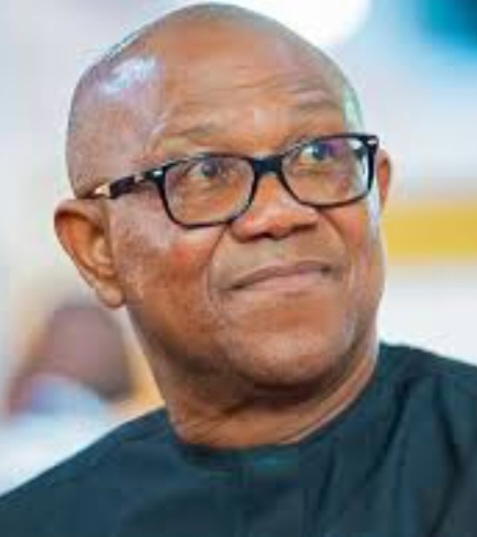 Peter Obi has capacity to lead Nigeria, says Ebonyi NDC senatorial candidate